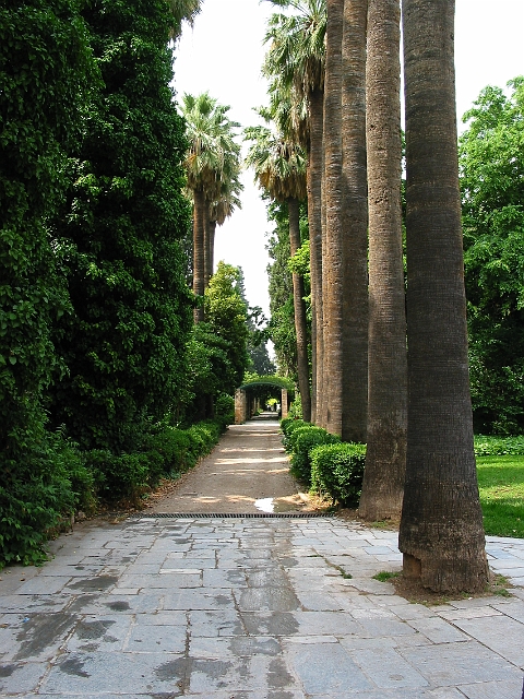 0257a Athene.JPG